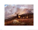 Bookcliffs Elk II Affiches par Michael Coleman