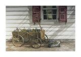 Pansies for Sale Posters par Dan Campanelli