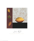 Lemon & Leaves Láminas por John Boyd