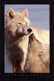 Wolf Harmony Posters by Jim Brandenburg