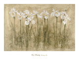 Floating on Air Posters af B. J. Zhang Floating on Air Posters af B. J. Zhang