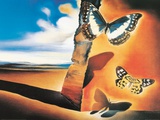 Paisaje con mariposas Láminas por Salvador Dalí Paisaje con mariposas Láminas por Salvador Dalí