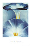 Blue Morning Glories Kunstdrucke von Georgia O'Keeffe
