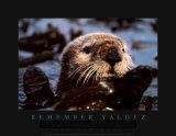 Bob Talbot - Remember Valdez - Poster Bob Talbot - Remember Valdez - Poster
