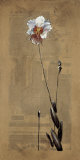 Asian Orchids I Art by Dennis Carney
