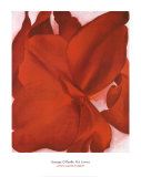 Georgia O'Keeffe - Red Cannas - Reprodüksiyon Georgia O'Keeffe - Red Cannas - Reprodüksiyon