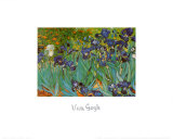 Irises, Saint-Remy, c.1889 Prints by Vincent van Gogh