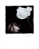 Dos rosas Pósters por Angelos Zimaras