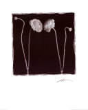 Zwei Blumen und zwei Knospen Kunstdrucke von Angelos Zimaras