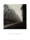 Suspended Vine Print by Michael Kenna