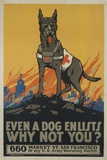 Army Posters at AllPosters.com