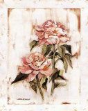 Rose Impression Print by Carol Robinson Rose Impression Print by Carol Robinson