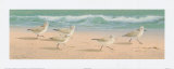 Reunión en la playa Pósters por Lin Seslar Reunión en la playa Pósters por Lin Seslar
