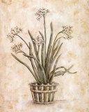 White on White I Art by Kate McRostie