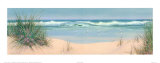 Secluded Beach Prints by Lin Seslar