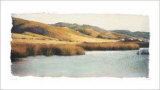 Estuary I Kunstdrucke von Amy Melious