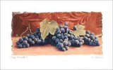 Vendange I Art par Amy Melious