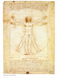 Man van Vitruvius, ca. 1492 Kunst van Leonardo da Vinci