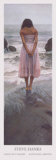 Ashley Posters by Steve Hanks