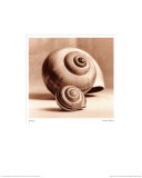 Spirality Posters by Graeme Harris