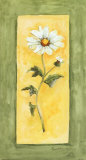 Margarita de verano I Arte por Peggy Abrams Margarita de verano I Arte por Peggy Abrams