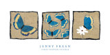 Three Butterflies Prints by Jenny Frean
