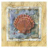 Sea Shell Prints by A. Vega