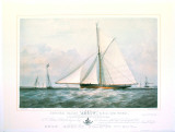 Arrow Yacht Print