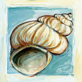 Shell  White Serie I Posters by Cruz 