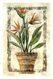 Ave Del Paraiso Prints by A. Vega