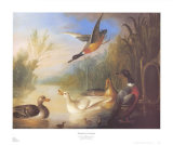 Aves acuáticas en paisaje Láminas por Marmaduke Cradock Aves acuáticas en paisaje Láminas por Marmaduke Cradock