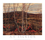 Maple and Birches Poster by A. Y. Jackson