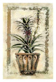Pina-Ananas Prints by A. Vega