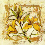 azucena lily