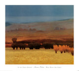 En la sombra de la tierra Láminas por Marc Bohne En la sombra de la tierra Láminas por Marc Bohne