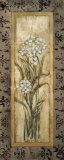 Paperwhites I Prints by Mindeli Paperwhites I Prints by Mindeli