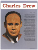 Charles Drew Art