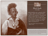 Black Hawk Kunstdruck
