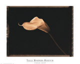 Calla Lily Póster por Talli Rosner-Kozuch Calla Lily Póster por Talli Rosner-Kozuch