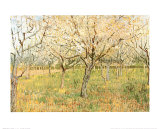 Orchard in Blossom Prints by Vincent van Gogh