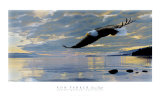 Dawn Flight Posters by Ron Parker