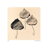 Trio Posters by Graeme Harris
