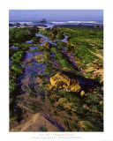 Marée basse Posters par John Gavrilis