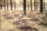 Jardin du Luxembourg Art by Hubert Grooteclaes