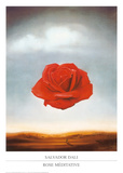 Salvador Dalí - Rose Meditative, c.1958 Obrazy
