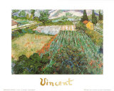 Les coquelicots Affiches par Vincent van Gogh