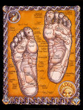 Voetreflextherapie Posters van Robert Rosenthal