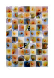 Lilien Poster von Eric Ritter