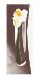 Arum d'Ethiopie dans un grand verre, 1923 Sérigraphie par Georgia O'Keeffe