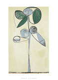 Donna fiore, 1946 Serigraph van Pablo Picasso Donna fiore, 1946 Serigraph van Pablo Picasso